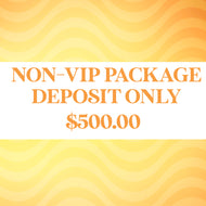 NON VIP DEPOSIT &  Payment Plan